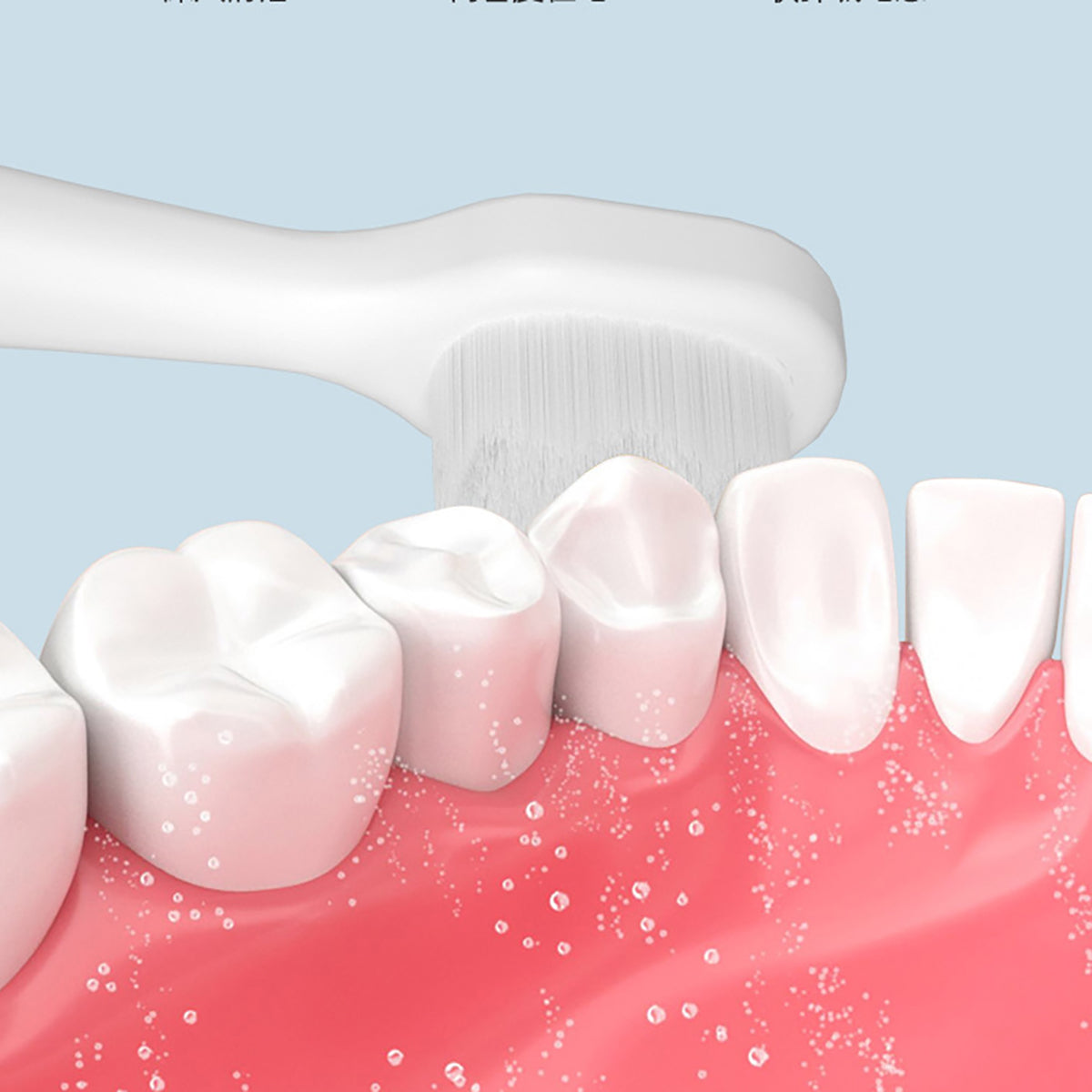 Soft Bristle Guard Toothbrush