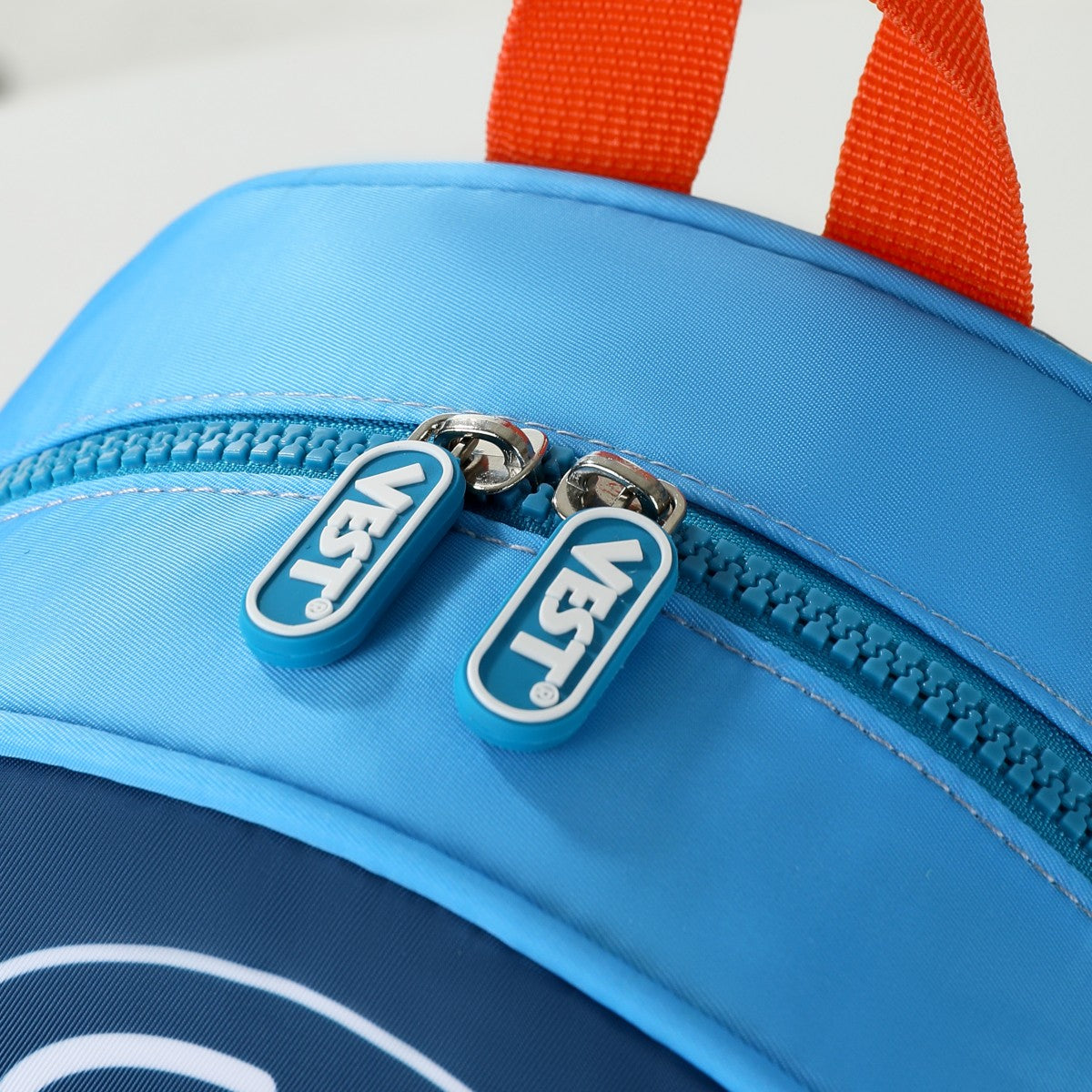 Dinosaur School Backpack