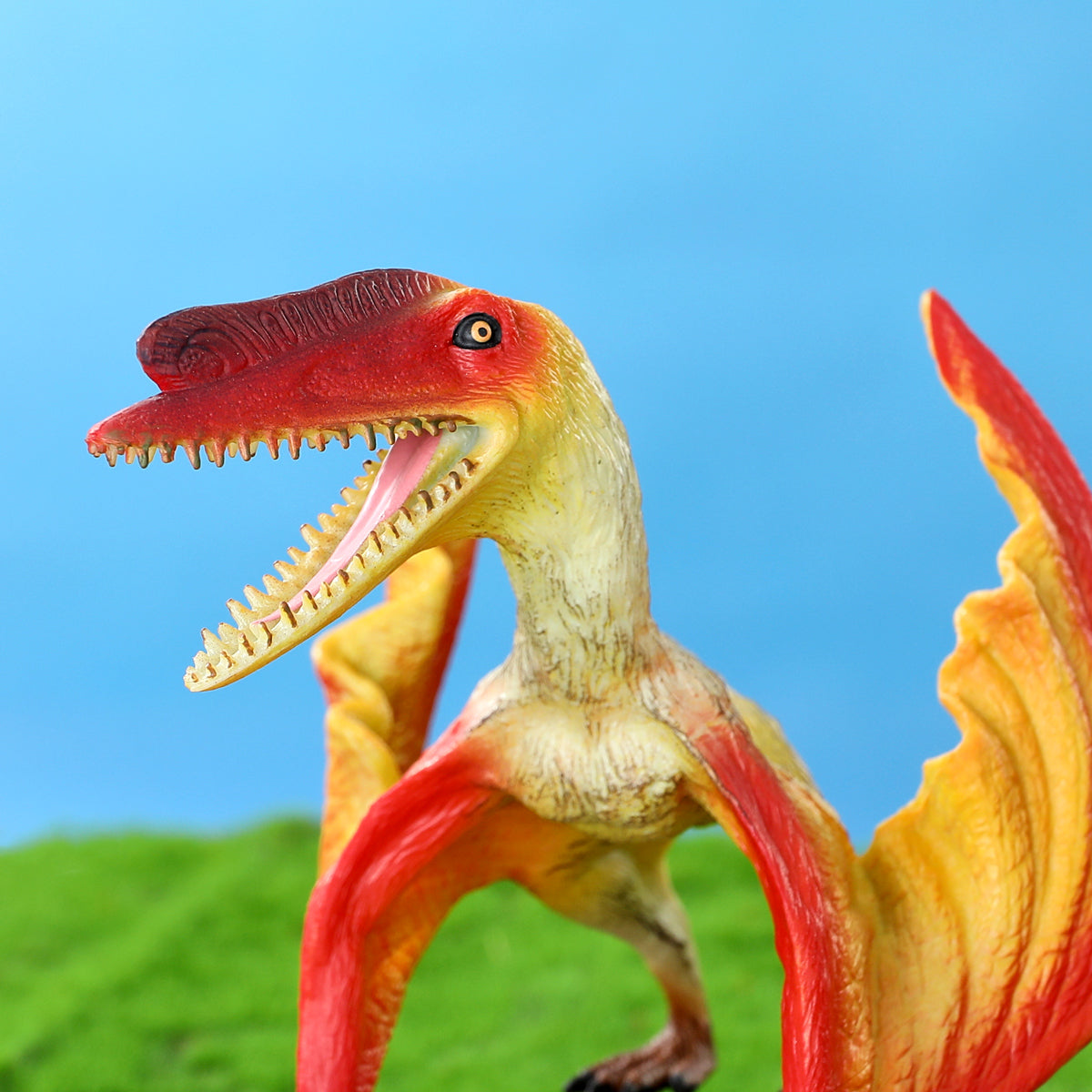 Pteranodon Toy Model
