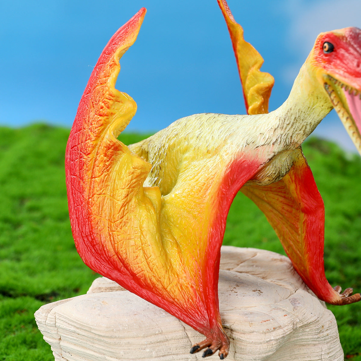 Pteranodon Toy Model