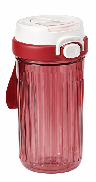 550ml Kids Water Bottle with Flip Lid, Carry Strap and Transparent Body