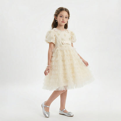 Heart Embroidery Tulle Tiered Dress For Party Girl