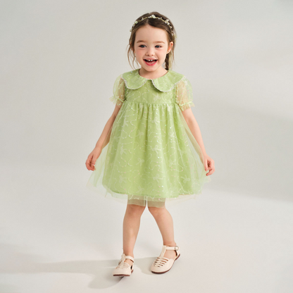 Sweet Lace Trim Tulle Peter Pan Collar Dress Green Girl