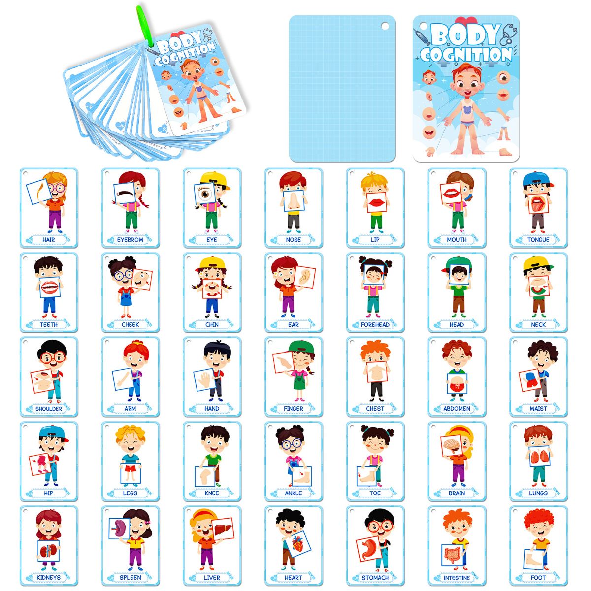 36 body recognition cards for children's enlightenment education, educational puzzle recognition cards