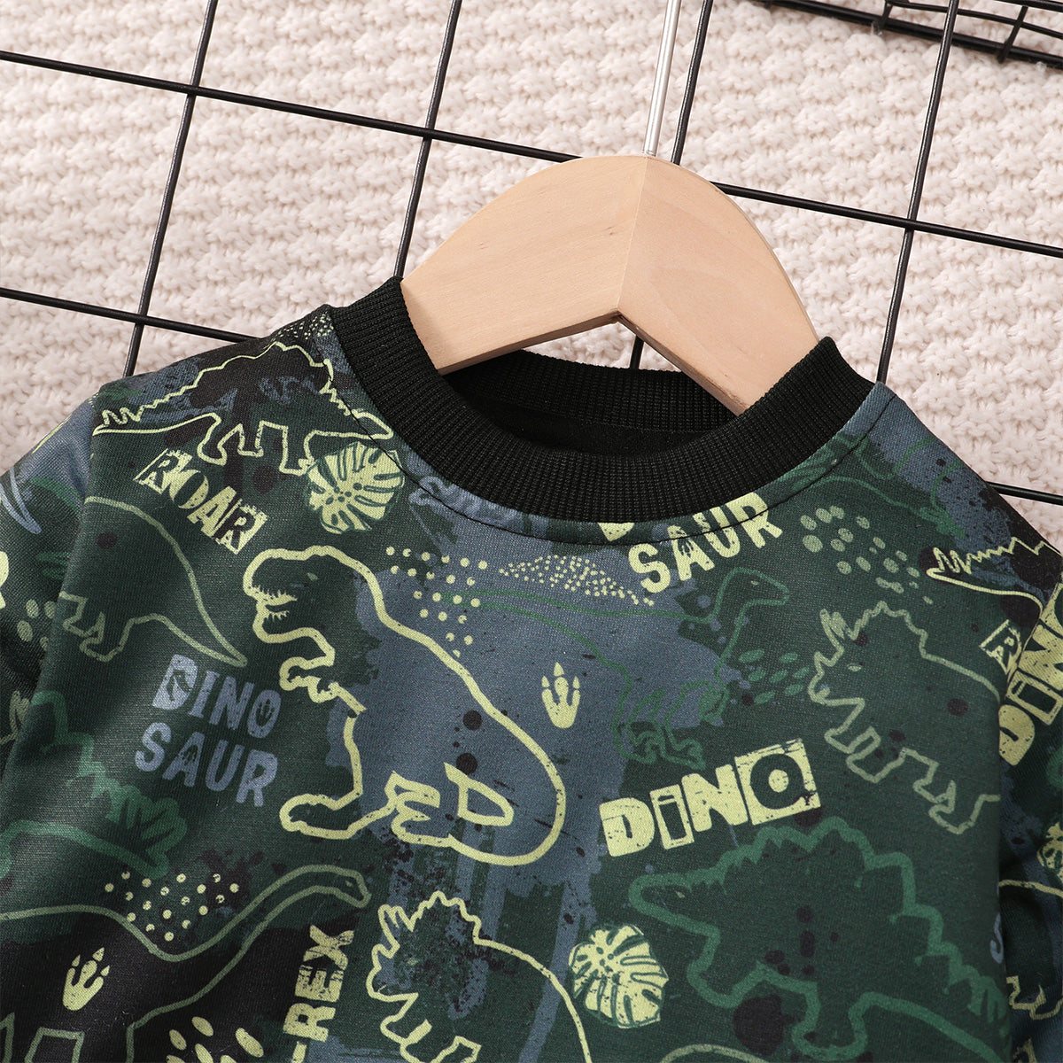 Baby boy's dinosaur print sweatshirt set