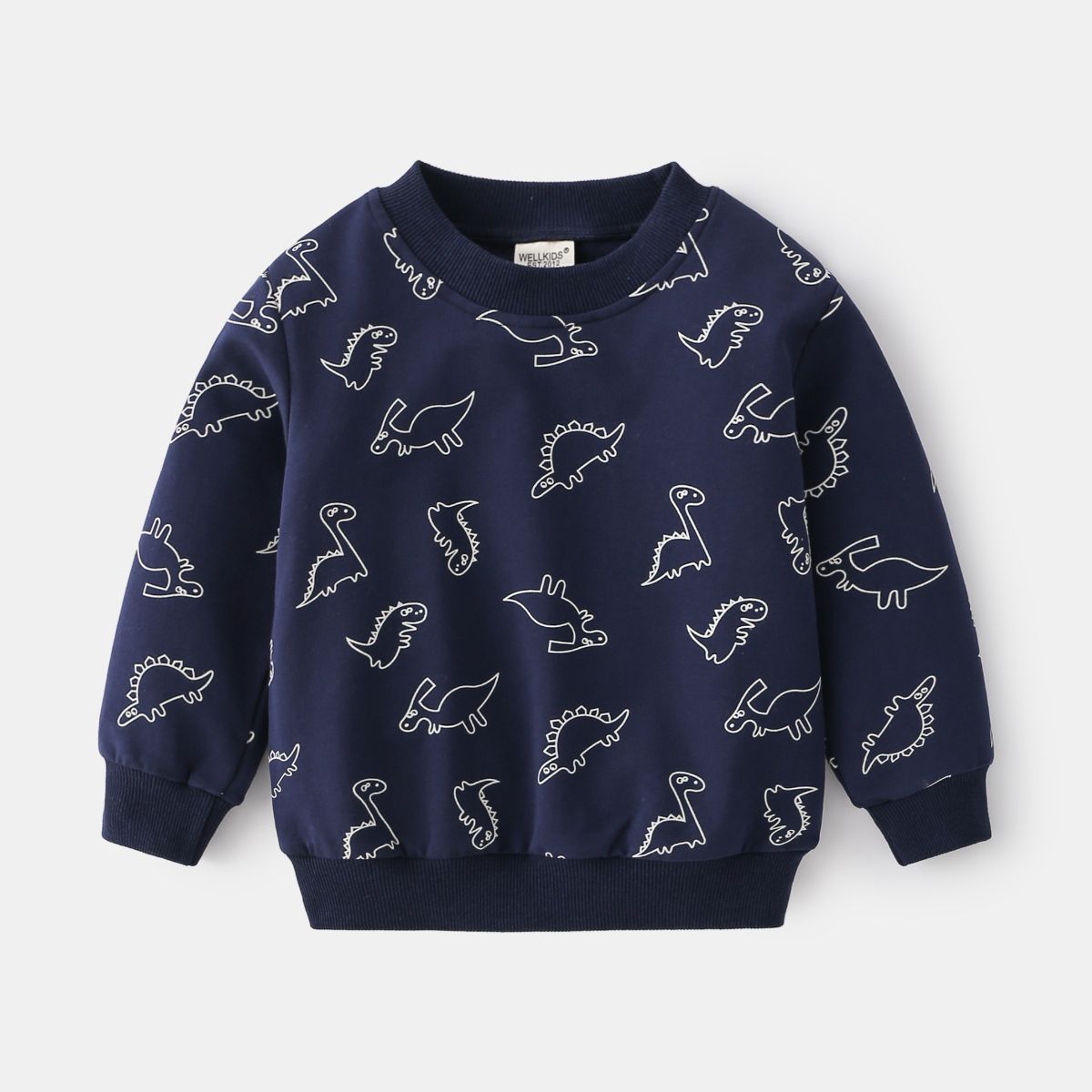 Casual long-sleeved children's sweatshirt Dinosaur simple drawing cartoon non-hooded pullover Blue-gray cute boy sweatshirt