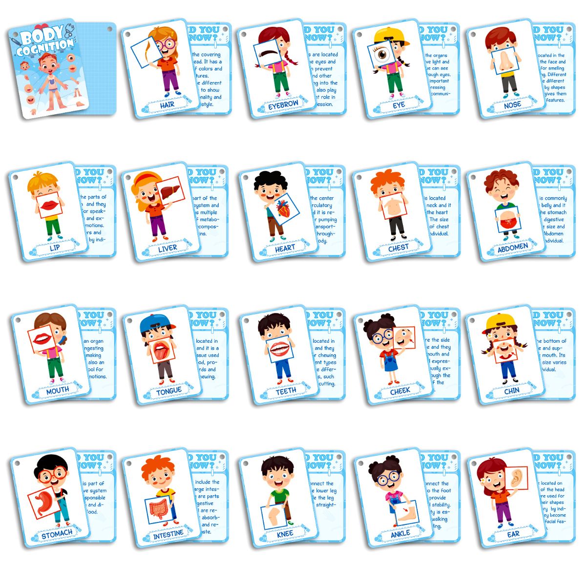 36 body recognition cards for children's enlightenment education, educational puzzle recognition cards