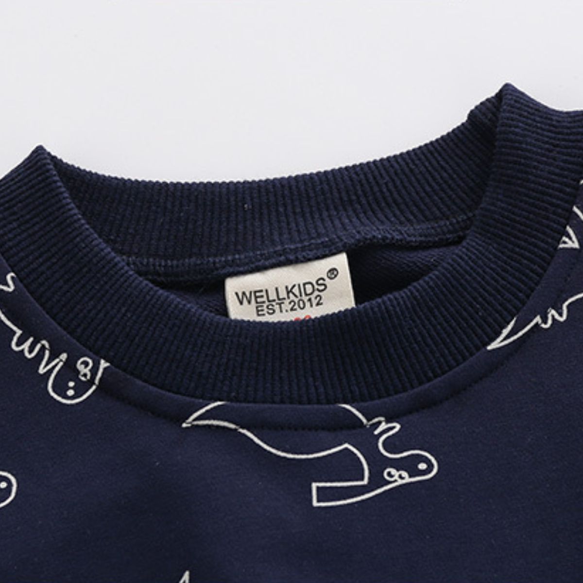 Casual long-sleeved children's sweatshirt Dinosaur simple drawing cartoon non-hooded pullover Blue-gray cute boy sweatshirt