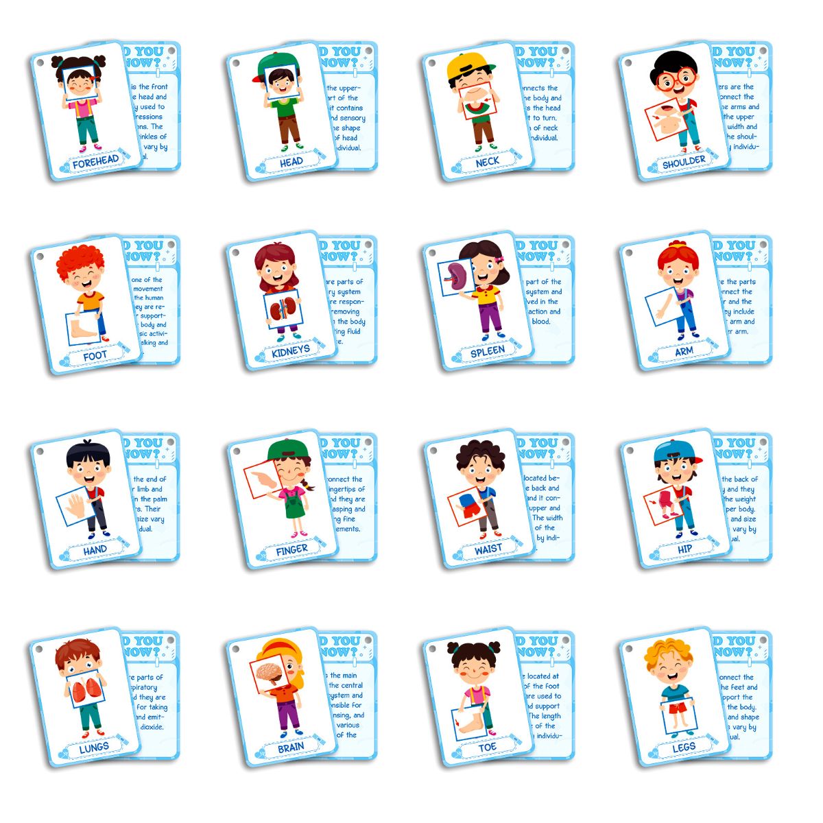 36 body recognition cards for children's enlightenment education, educational puzzle recognition cards