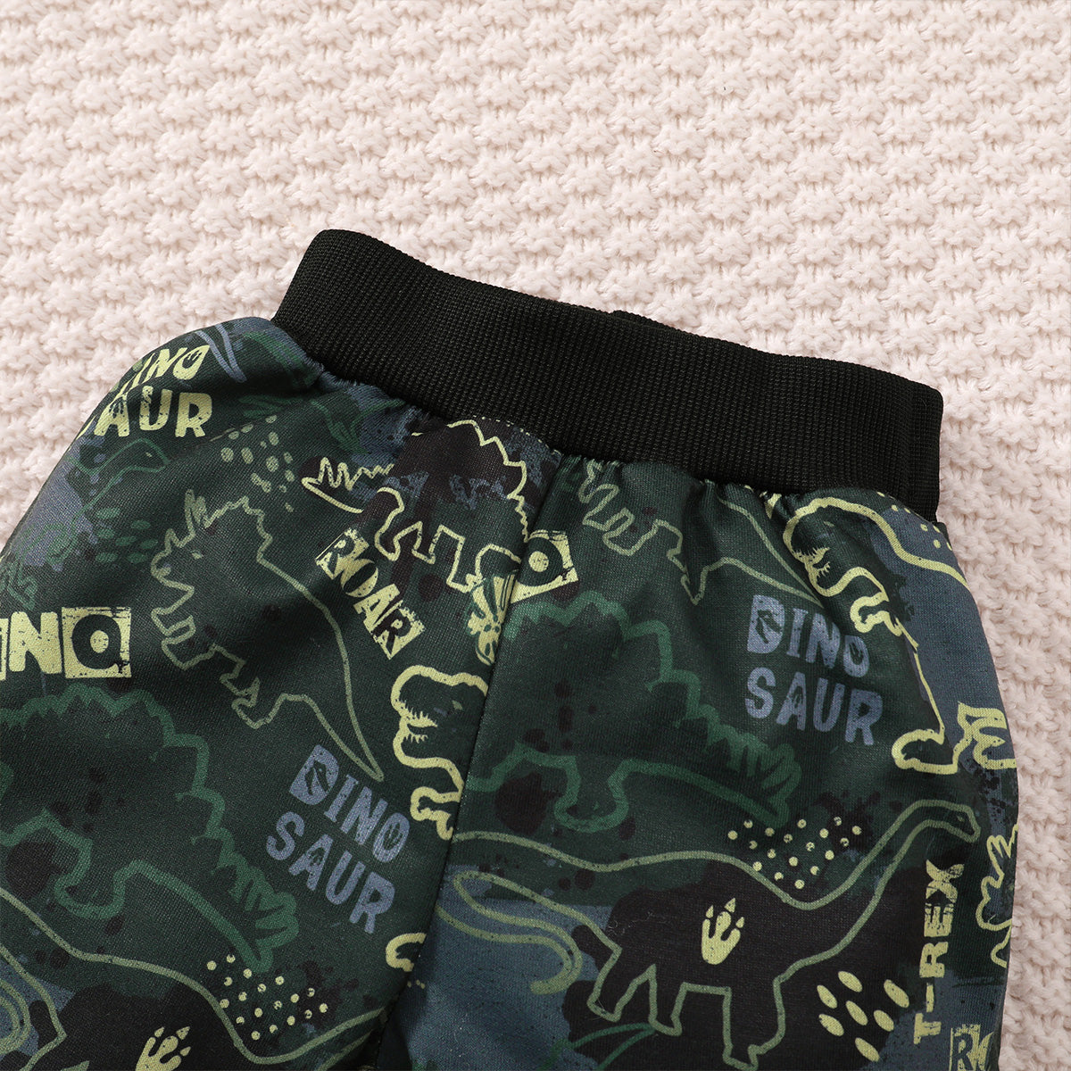 Baby boy's dinosaur print sweatshirt set