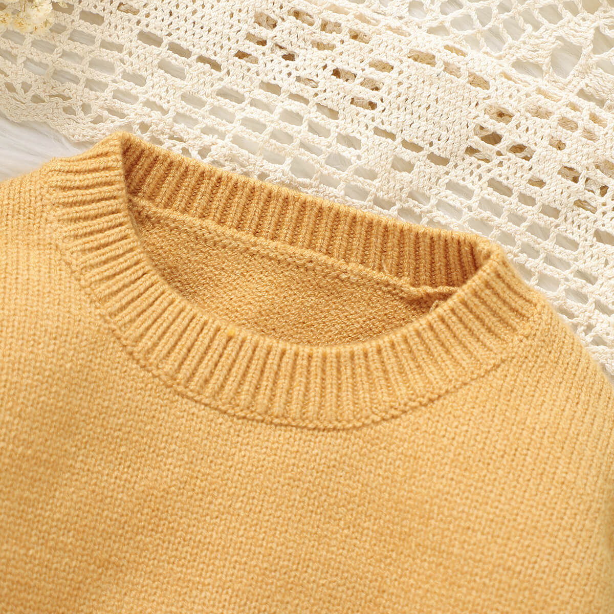 Baby Lion Jacquard Knit Pullover Sweater